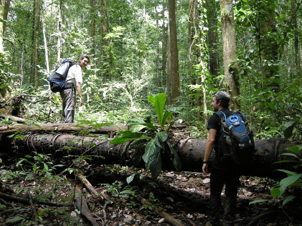 Guyane