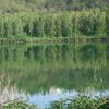 Balade autour du lac d'Arras