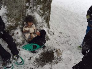 Randonnée en raquette sur les pistes du Mont d'Or