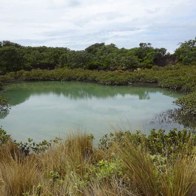 Neuseeland - Auckland