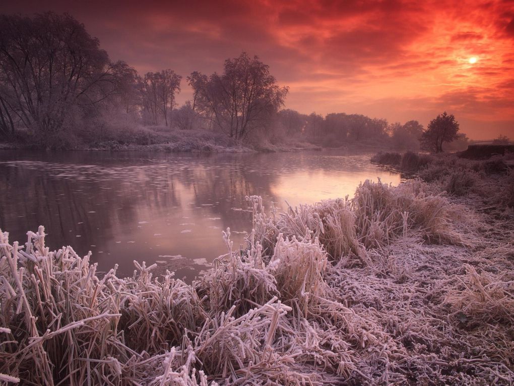 Album - Paysage-d-hiver-pris-sur-le-net