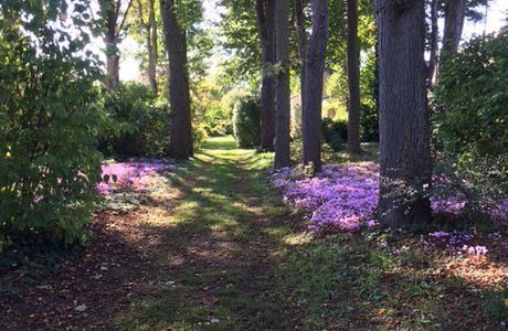 LE JARDIN LA CLE DES CHAMPS - C'EST MAGNIFIQUE