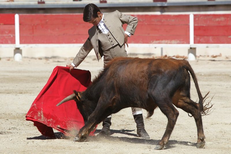 Dimanche 26 août 2012 - 4 erales de Tierra d'Oc pour El Rafi, Virgil, Thomas Ubeda et Solalito (Centre Français de Tauromachie de Nîmes)