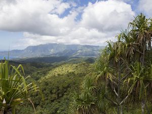 Quelques photos du centre d'Hiva Oa