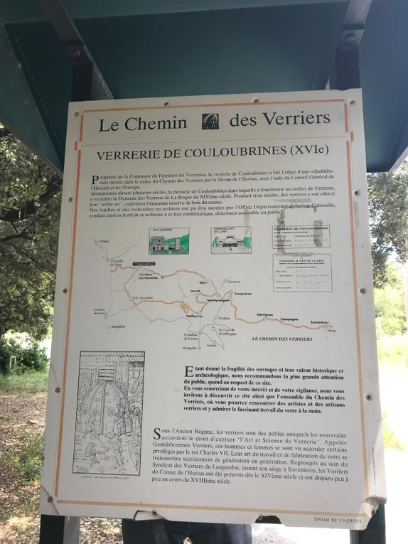 RANDONNÉE DU VENDREDI 23 MAI 2025 : FERRIÈRES LES VERRERIES. ANIMATRICE DOMINIQUE. PHOTOS CATHERINE.