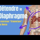 Respiration / Diaphragme : 4 exercices pour OUVRIR le THORAX
