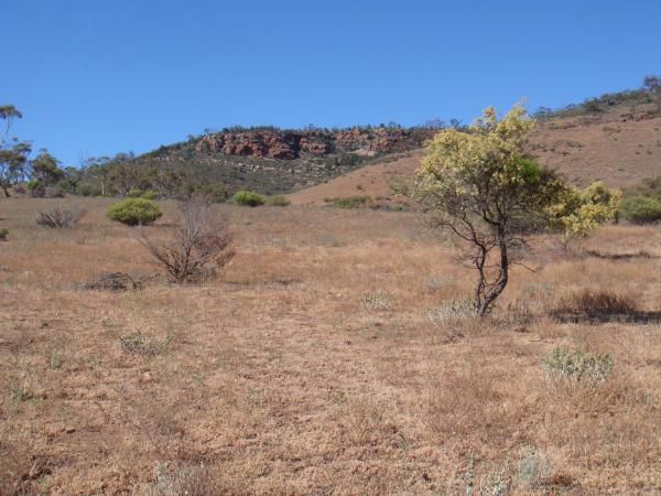 Album - Flinders-Ranges