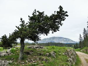 Traversée des hauts plateaux.