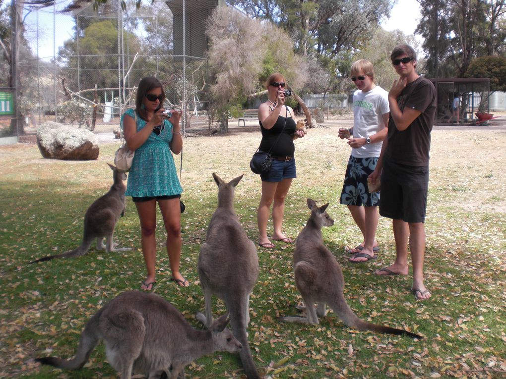 Ein Wochenende bei Christina und im Wildlife Park.