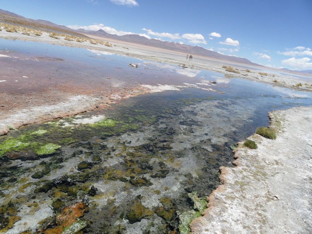 de Salta (Arg) a San Pedro, en passant ppar les salars d'Uyuni en Bolivie : 2 semaines de photos !