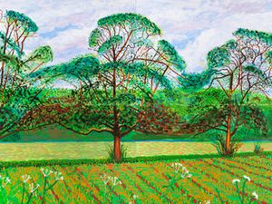David Hockney   