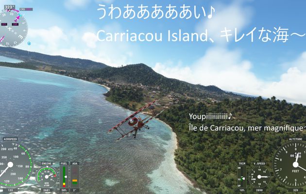 MSFS2020 ♡NO.178♡日本からフランスへ♡DU JAPON À LA FRANCE♡海岸線を飛ぶ旅♡VOLER SUR LES CÔTES