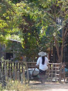 Il fait beau, il fait chaud ...welcome dans le sud du Laos. Ici on experiemente a fond le rythme ultra tranquille du pays. Au programme Pakse, Vat Phu de Champassak, 4000 iles !