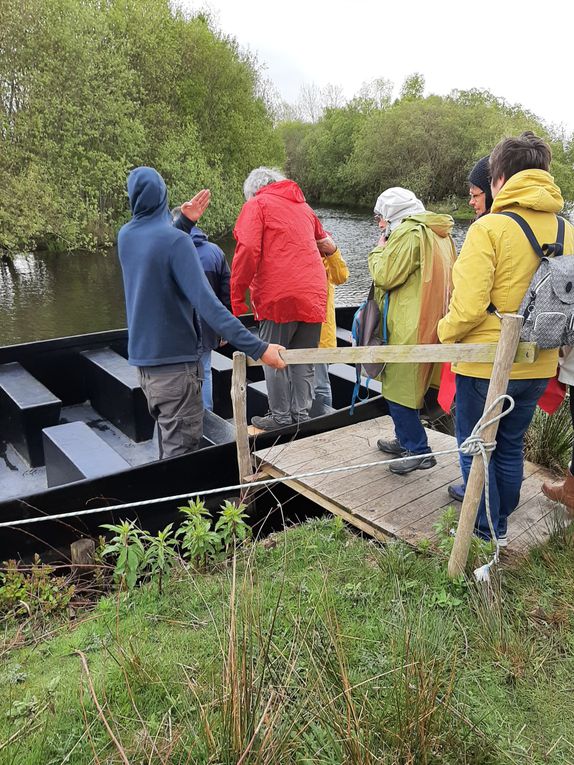 Calèche, bateau, belvédère en Brière