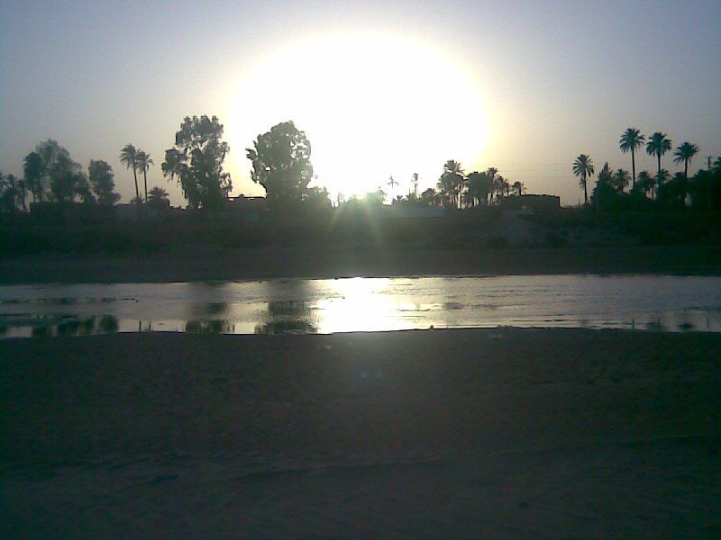 Album - les jardins de Laghouat par Mehdi