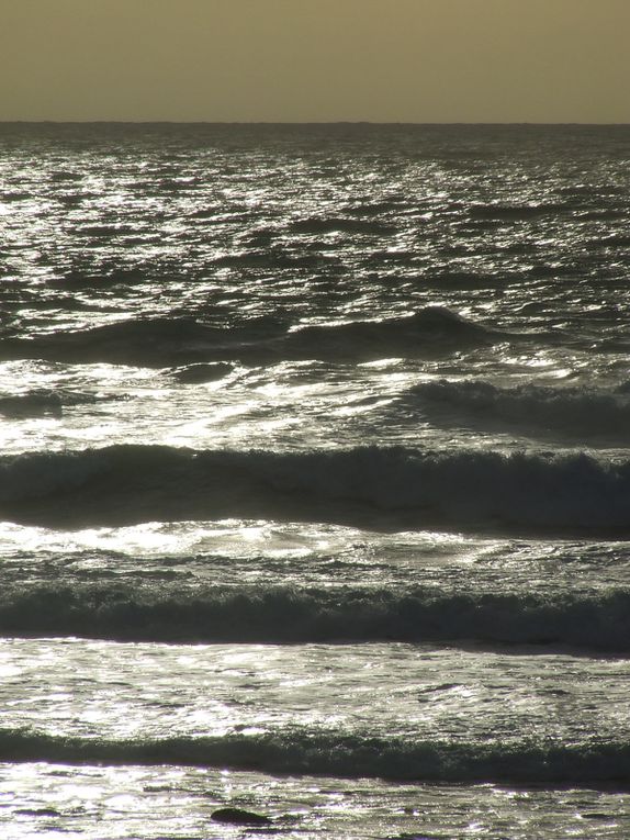 Les photos du mois de Décembre 2009, surtout des plages ...
En bonus, j'en ai rajouté d'autres prises en aout et juillet que je n'avais pas eu le temps de mettre en ligne ... Amusez vous à trouver lesquelles ...