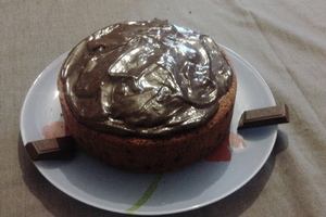 gâteau aux pépites de chocolat et crème fraiche 18 cm