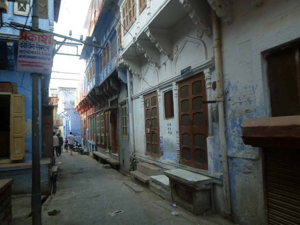 Album - Jodhpur, la Ville bleue