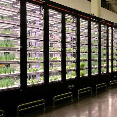 A primeira horta urbana indoor na França.