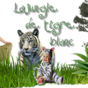 Design de blog pour Tigre blanc