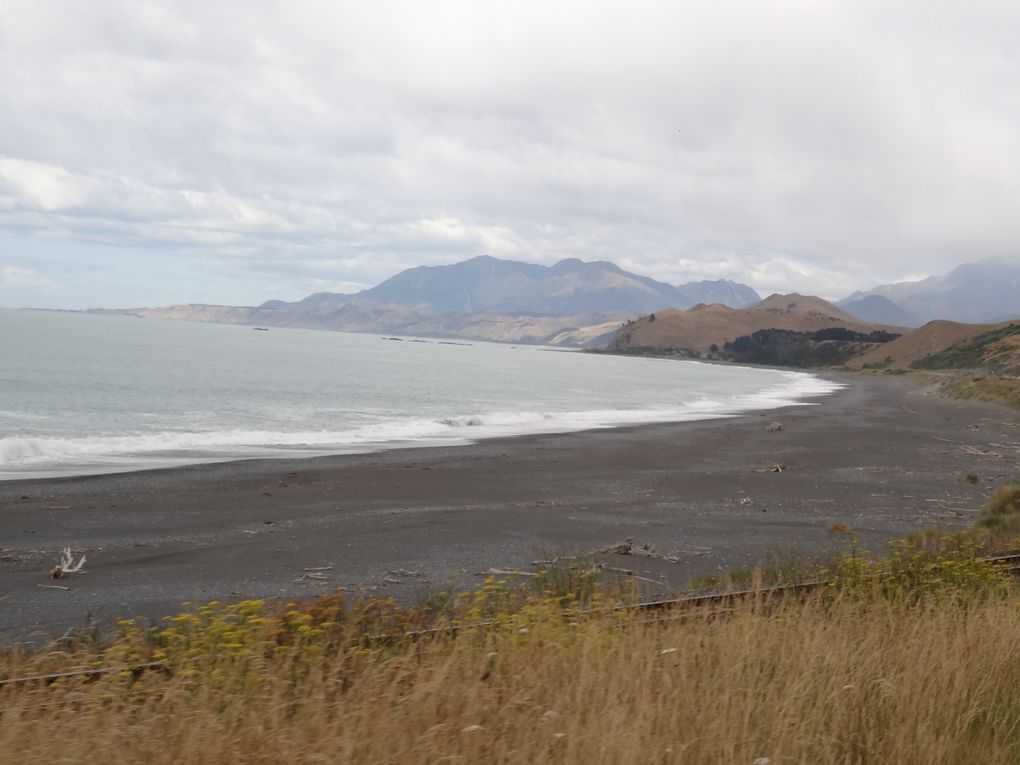 Nos vacances en Nouvelle Zélande du 22 décembre au 11 janvier: Auckland et l'île du Sud