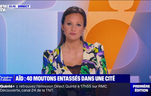 Pauline Pioche Première Edition BFM TV le 27.06.2023