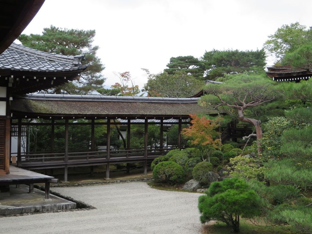 Temple de Ninna-Ji et son jardin zen, propice au repos.