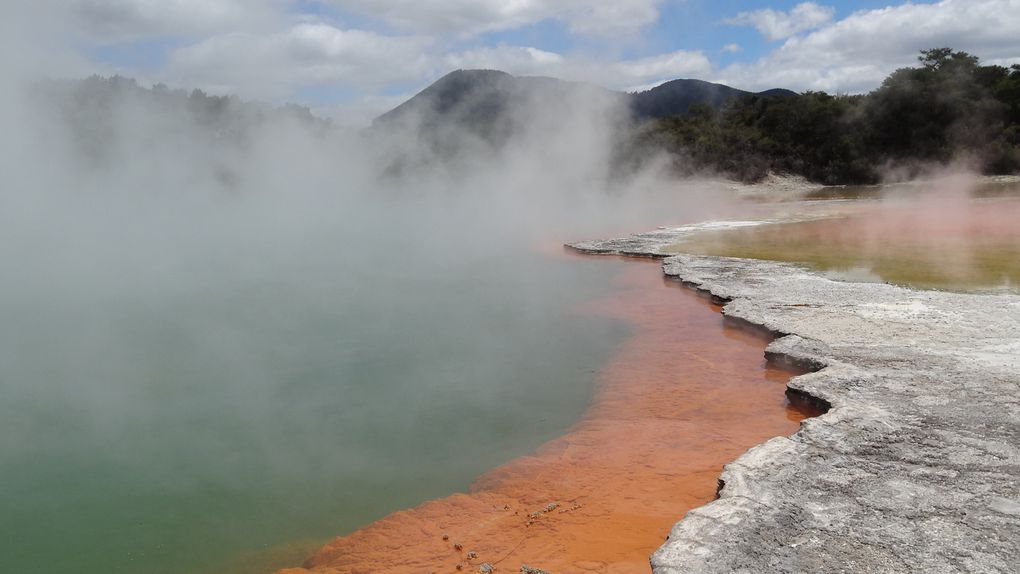 Île du nord en NZ: Les volcans sentent bon