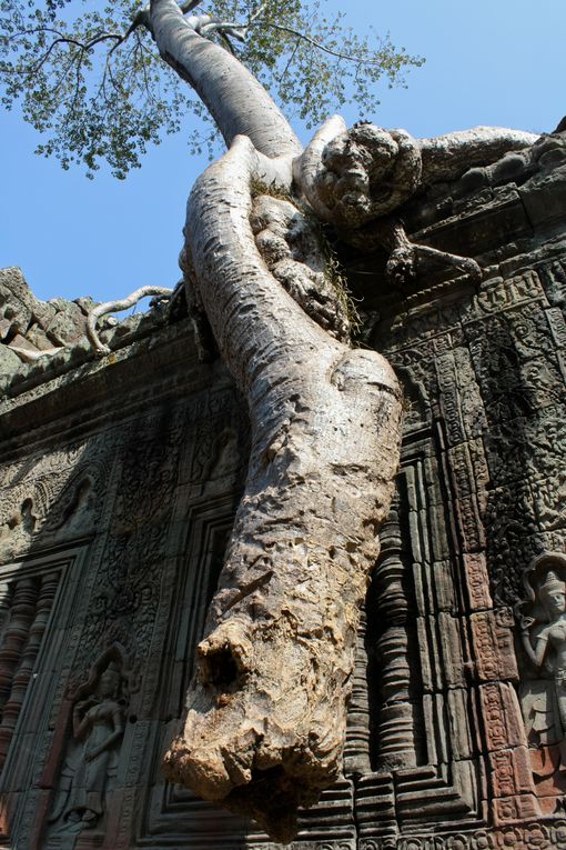 Album - Siem Reap - Temples d'Angkor
