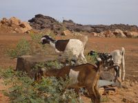 Dans l’Adrar en Mauritanie