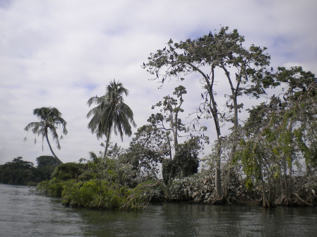 Solola, Sacatepequez, Izabal