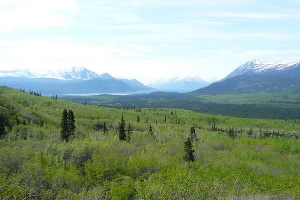 Album - z  Balades au Yukon 2007-08