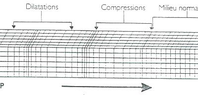 Les 2 ondes de Volumes captés par le sismographe