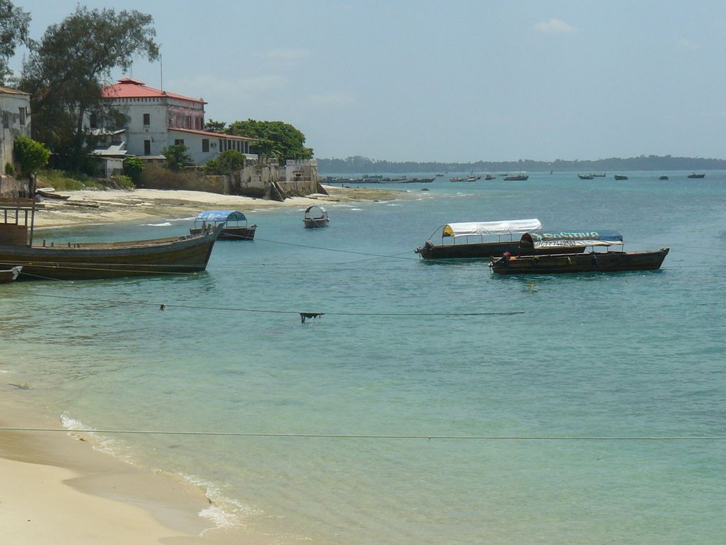 Album - letahun-Zanzibar