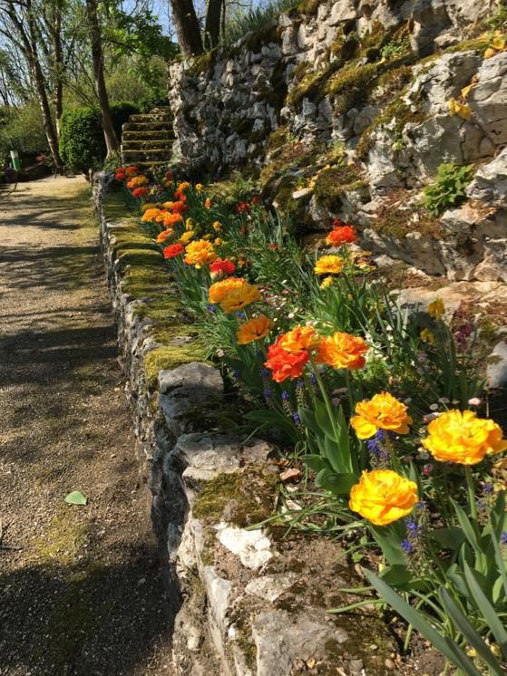 Dans le jardin de la Résurrection...