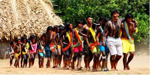 Source de la photo: Mundo educaçao: <http://www.mundoeducacao.com/geografia/a-populacao-indigena-no-brasil.htm>.