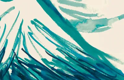L'Usage du Japon, de Emmanuel Ruben