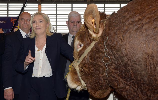 « Pourquoi Marine Le Pen arrive au Salon de l'Agriculture en position de force » 