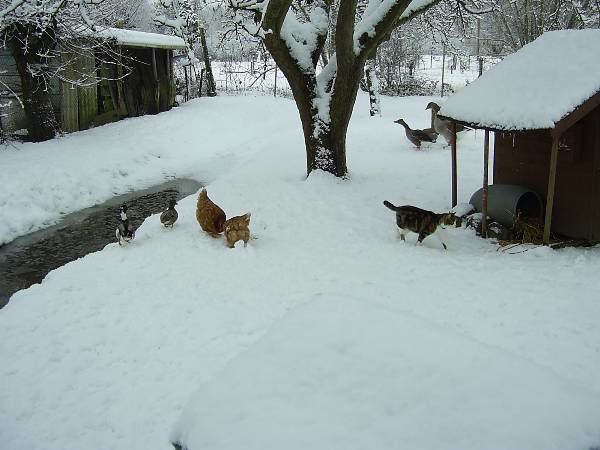 Découvrez notre maison sous 20 cm de neige !