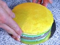 The Rainbow Cake...
