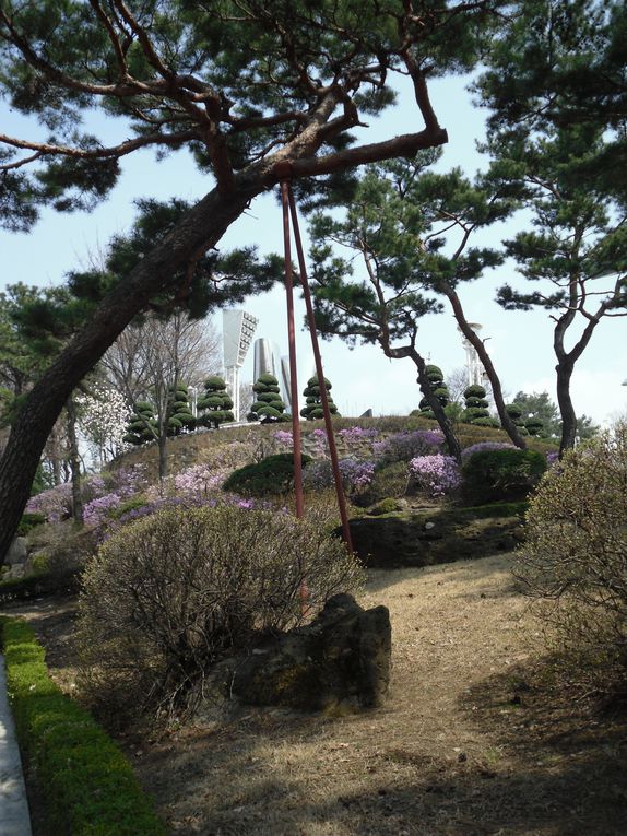 Les campus de Ewha et Yonsei se mettent à l'heure printanière