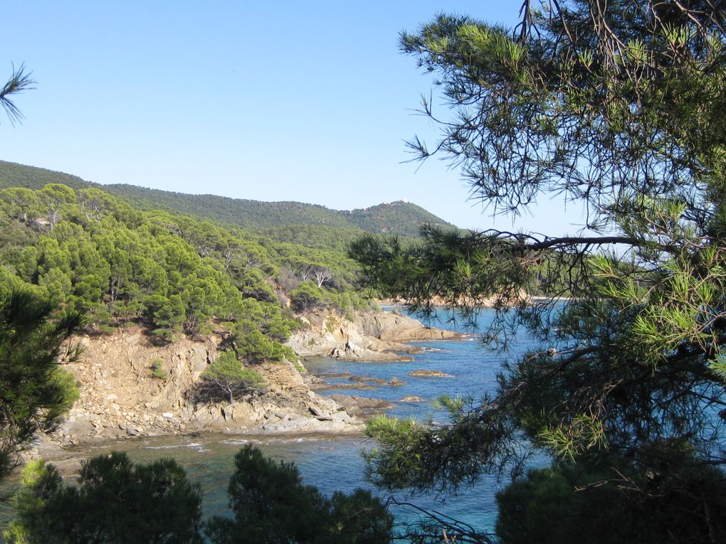 Brégançon, le sentier maritime, que de beautés ! journée magnifique, nous garderons ces images encore longtemps.