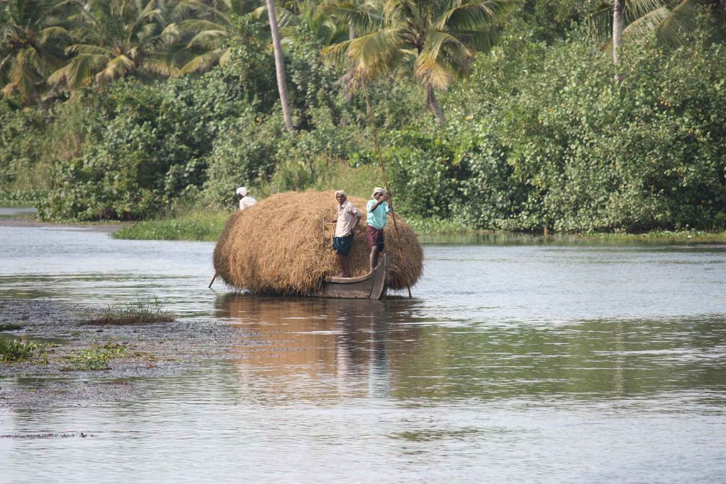 Album - Kaniyakumari - Goa