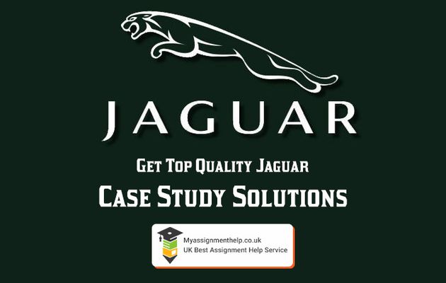 4 Lesser-Known Facts about Jaguar to Include in Your Case Study