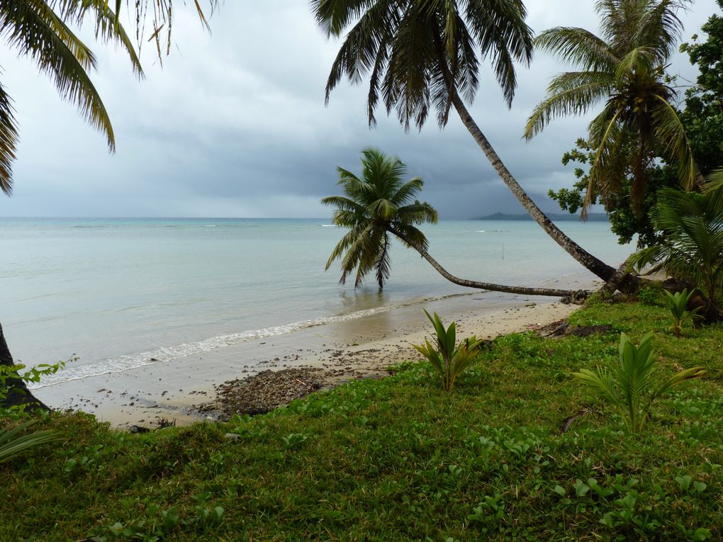 L'île de Sainte-Marie, ses baleines, ses histoires de Pirates, ses cocotiers...