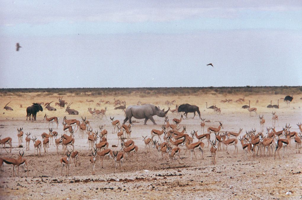 Album - Namibie2001