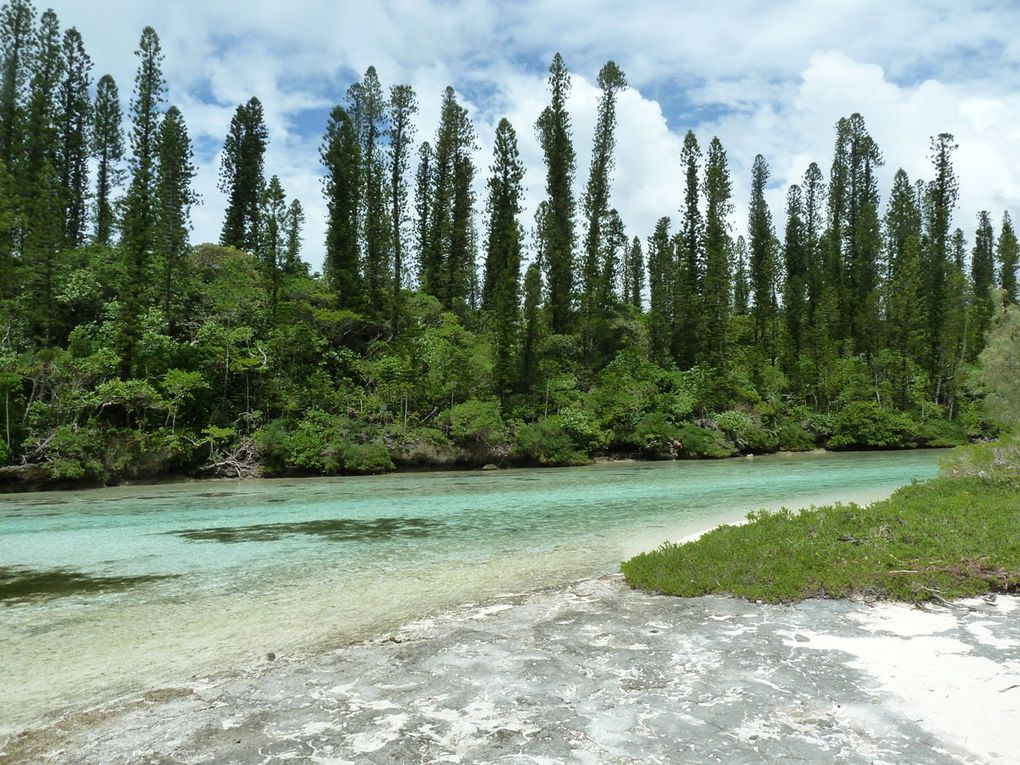 Album - Nouvelle-Caledonie-Iles-des-Pins