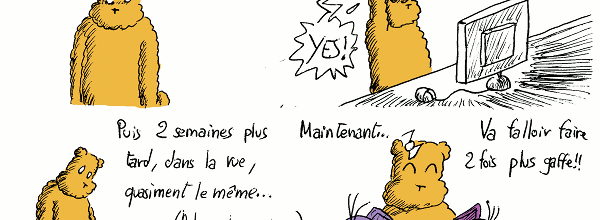Monsieur Elephant, le retour...