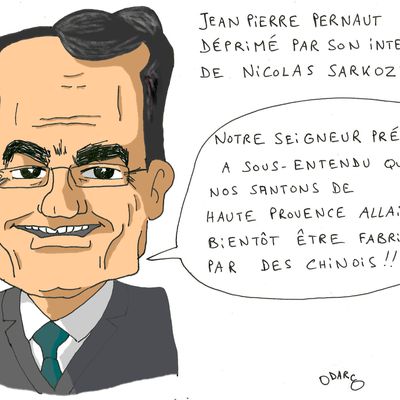 Entrevue télévisée de Nicolas Sarkozy