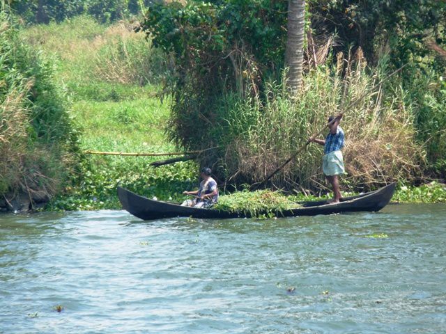 Album - INDE (Kerala Backwaters 1)